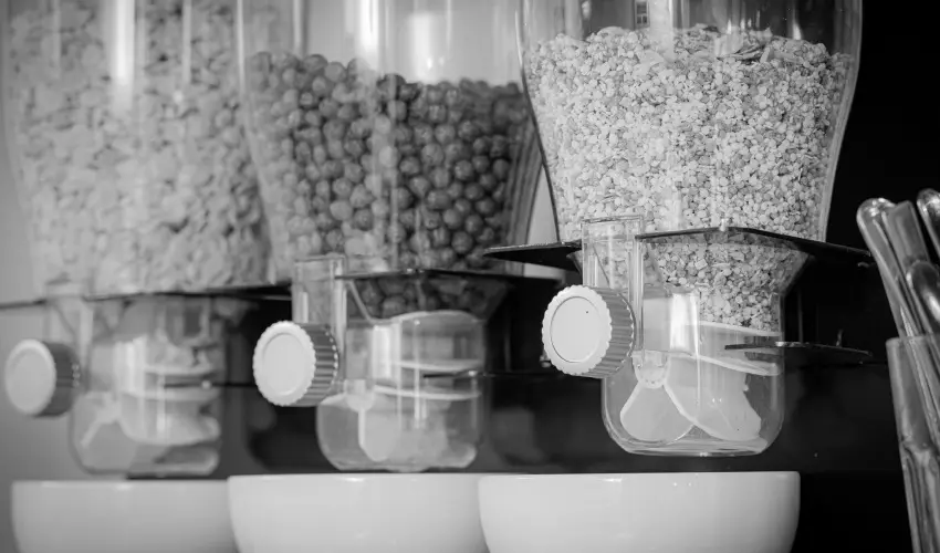 Bazilika alatti Panzi Esztergom - Szilveszter