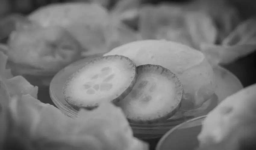 Bazilika alatti Panzi Esztergom - Szilveszter