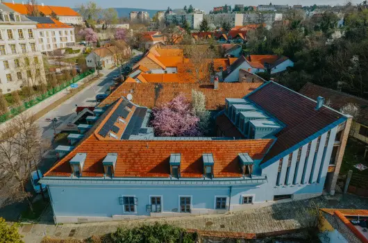 Bazilika alatti Panzi - Szilveszter