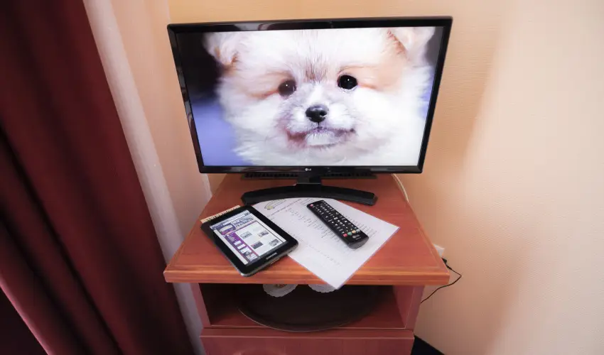 Boglrka Panzi-tterem  Mezkvesd - Szilveszter (min. 3 j)