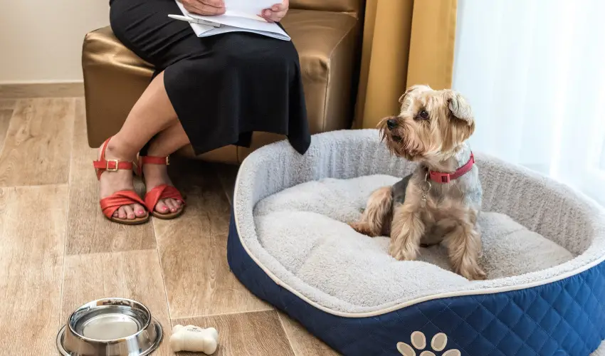 Bonvital Wellness & Gastro Hotel Hvz Hvz - Szilveszter nnepi programokkal (min. 3 j)