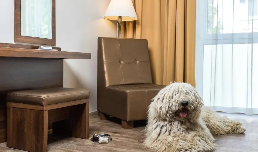 Bonvital Wellness & Gastro Hotel Hvz Hvz - Szilveszter nnepi programokkal (min. 3 j)