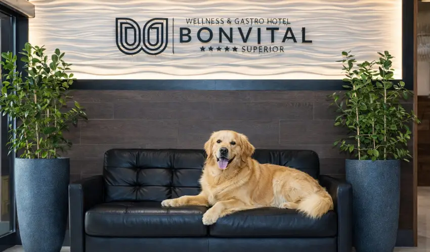 Bonvital Wellness & Gastro Hotel H�v�z H�v�z - Szilveszter �nnepi programokkal - teljes el�refizet�ssel