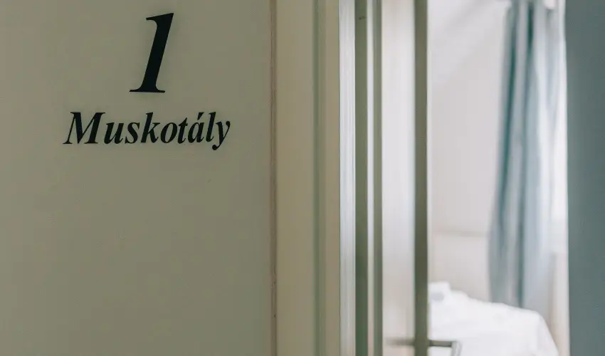 Borbarátok Panzió Badacsonytomaj - Szilveszter (min. 2 éj)