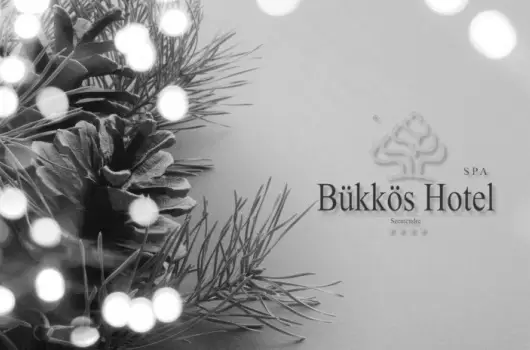 B�kk�s Hotel & Spa - �v v�gi �nnepek a B�kk�s Hotelben! (min. 3 �j)