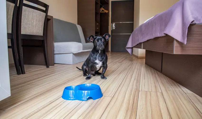 CE Plaza Hotel Sifok - Fergeteges CE Plaza szilveszter (min. 3 j)