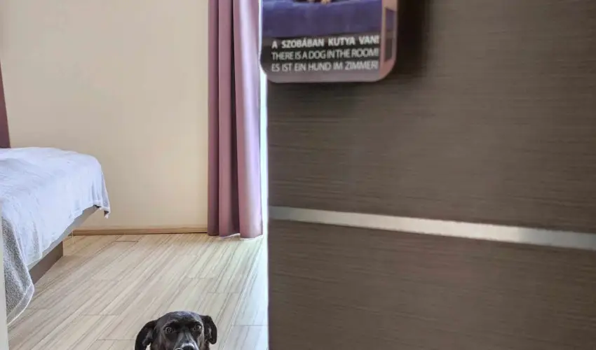 CE Plaza Hotel Sifok - Fergeteges CE Plaza szilveszter (min. 3 j)