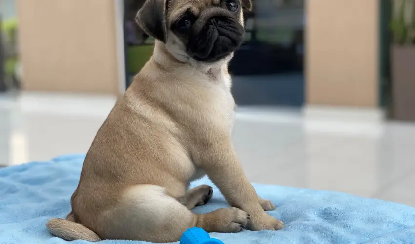 CE Plaza Hotel Sifok - Fergeteges CE Plaza szilveszter (min. 3 j)