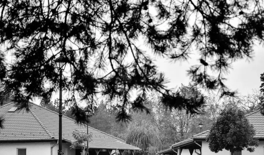 Cegl�df�rd� Apartmanpark �s Kemping Cegl�d - Szilveszter (min. 2 �j)