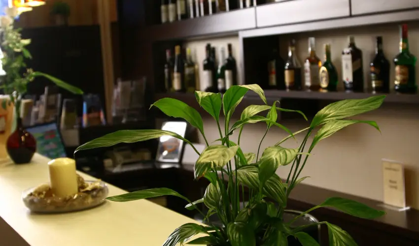 Central Hotel 21 Budapest - Szilveszter (min. 3 j)