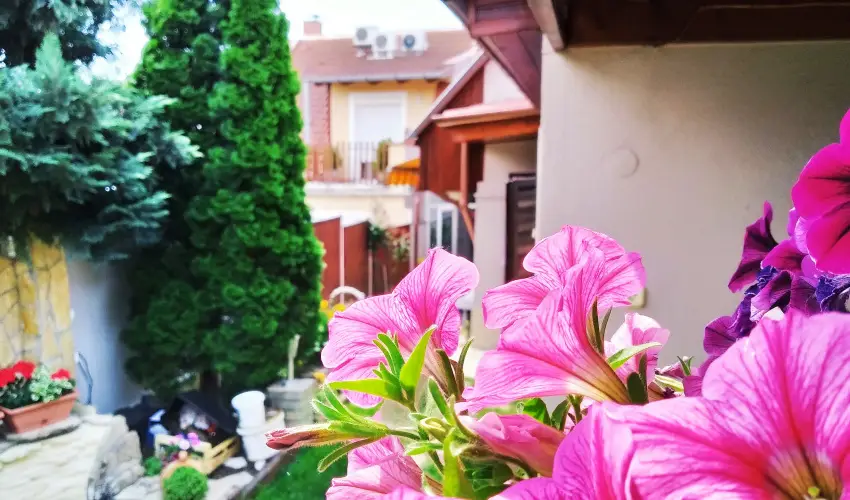 Csobog Vendghz Eger - Szilveszter (min. 2 j)