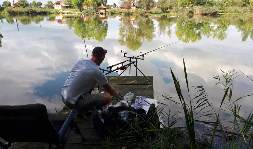 Csodaszarvas Tjpark Rbahdvg - Szilveszter (min. 2 j)