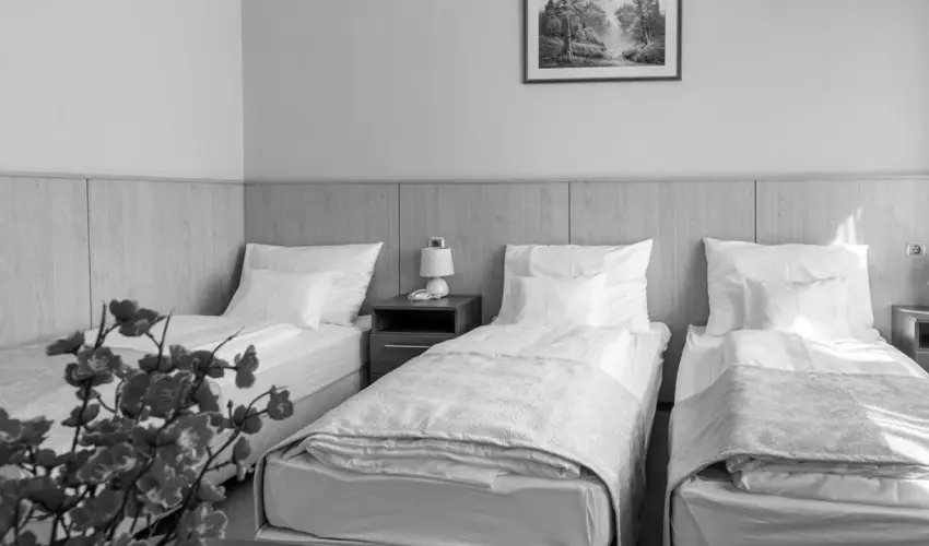 D-Hotel Gyula - Szilveszter