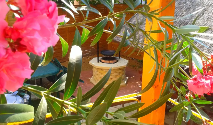 Dek Vendghz Hajdszoboszl - Szilveszter