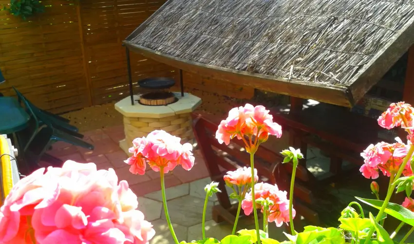 Dek Vendghz Hajdszoboszl - Szilveszter