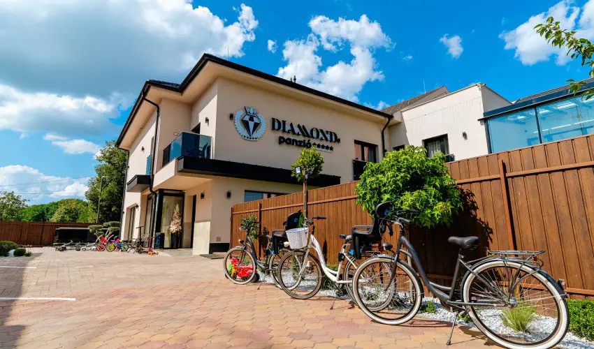 Diamond Panzi Hajdszoboszl - Szilveszter