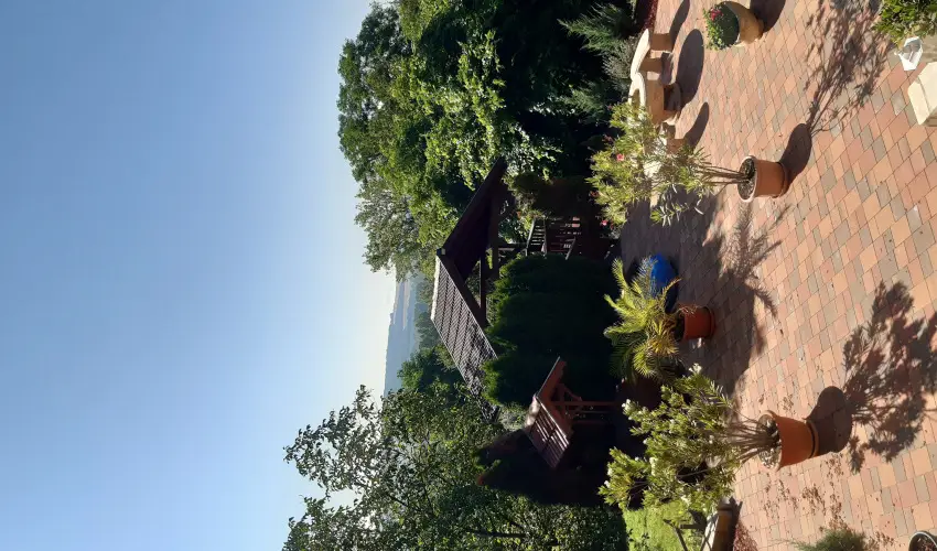 Difa Vendghz Kehidakustny - Szilveszter (min. 2 j)