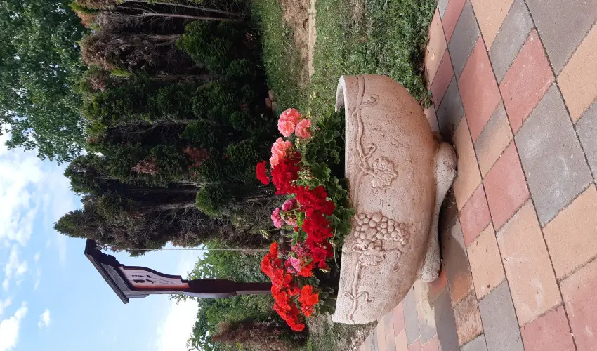 Difa Vendghz Kehidakustny - Szilveszter (min. 2 j)