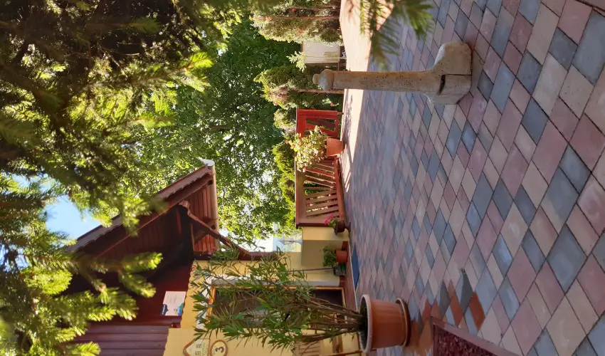 Difa Vendghz Kehidakustny - Szilveszter (min. 2 j)