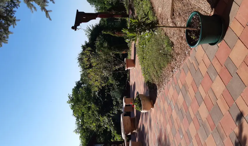 Difa Vendghz Kehidakustny - Szilveszter (min. 2 j)