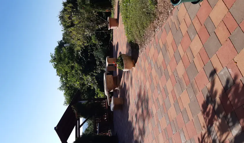 Difa Vendghz Kehidakustny - Szilveszter (min. 2 j)