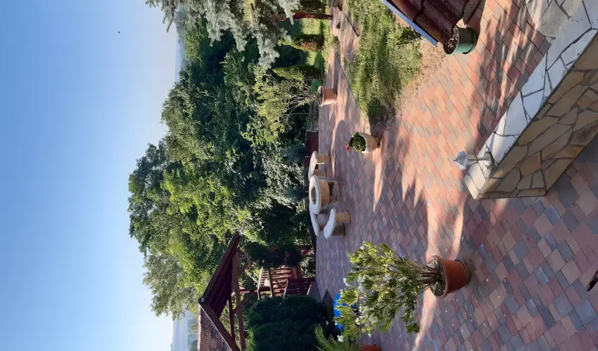 Difa Vendghz Kehidakustny - Szilveszter (min. 2 j)