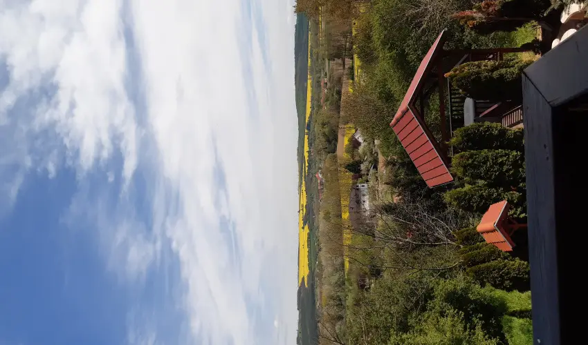 Difa Vendghz Kehidakustny - Szilveszter (min. 2 j)