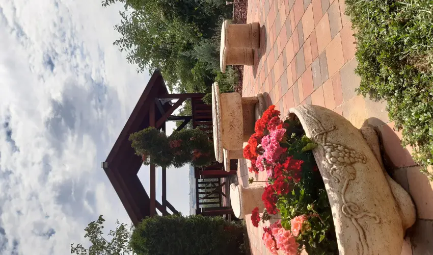 Difa Vendghz Kehidakustny - Szilveszter (min. 2 j)