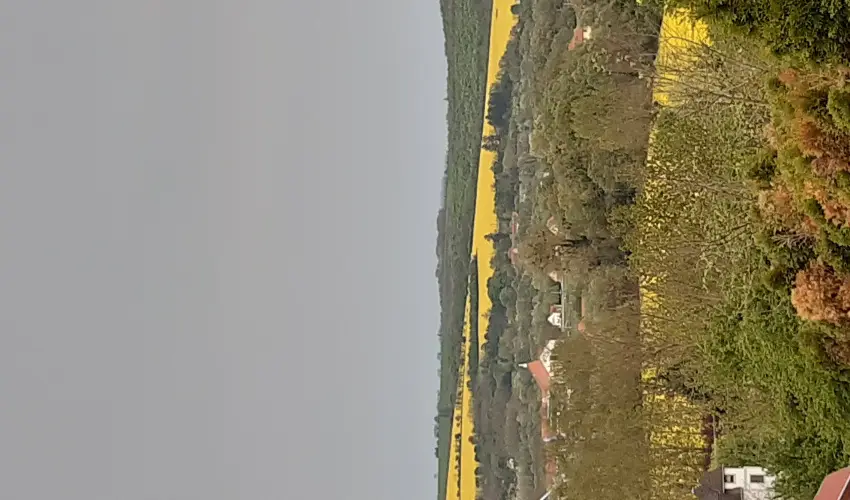 Difa Vendghz Kehidakustny - Szilveszter (min. 2 j)