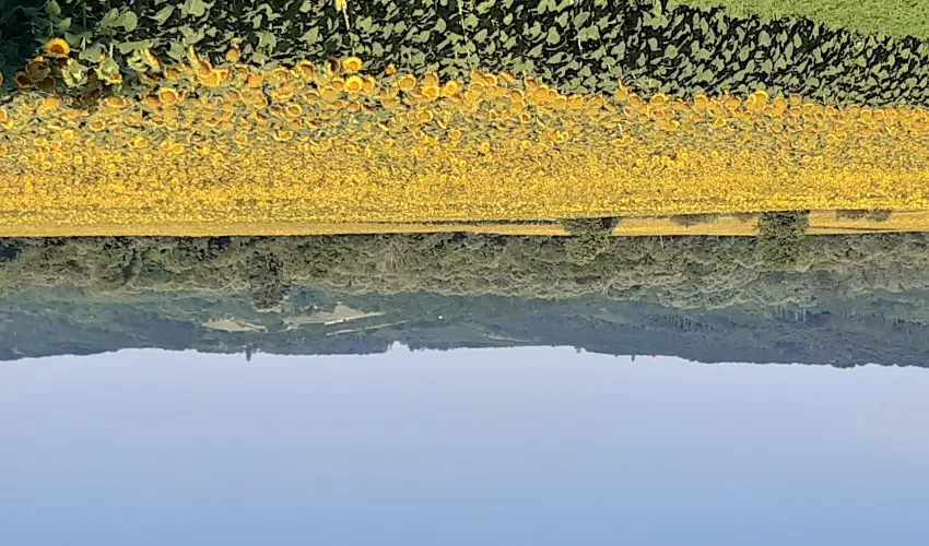 Difa Vendghz Kehidakustny - Szilveszter (min. 2 j)