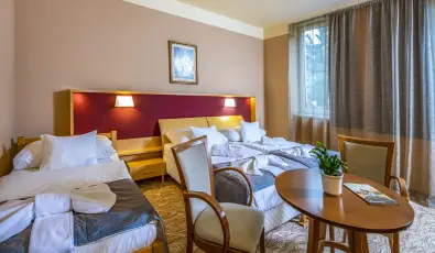 Drva Hotel Thermal Resort Harkny