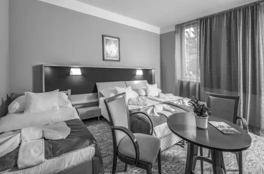Drva Hotel Thermal Resort - Szilveszter (min. 2 j)