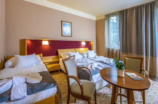 Dr�va Hotel Thermal Resort - Szilveszter (min. 2 �j)