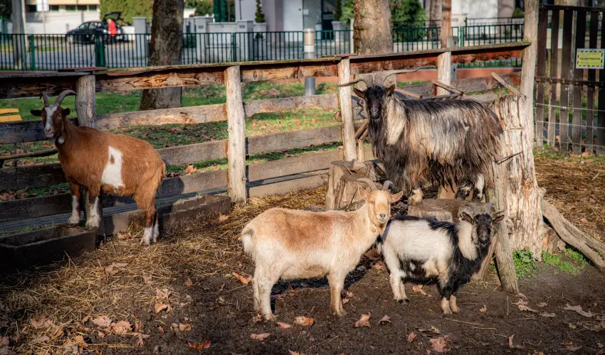 Dr�va Hotel Thermal Resort Hark�ny - Szilveszter (min. 3 �j)