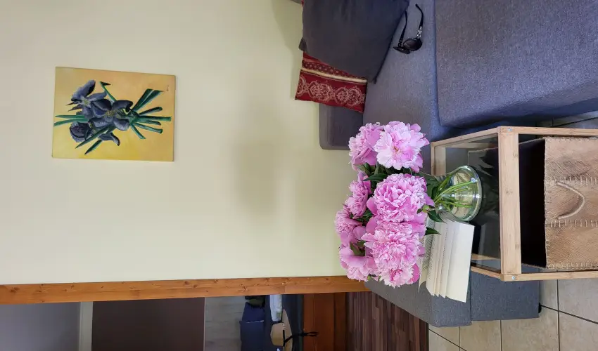 Dream Horse Apartman Cserkeszl - Relax & Chill Szilveszteri Csomag kedvezmnyes frdbelpvel (min. 2 j)