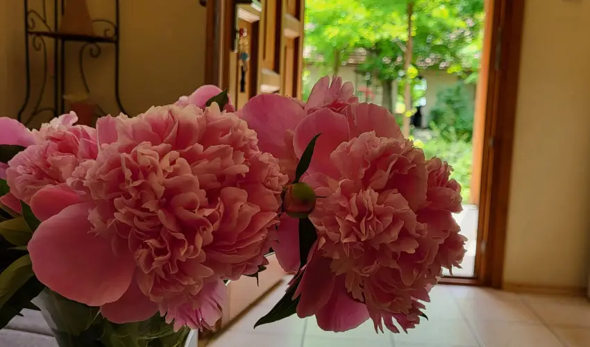 Dream Horse Apartman Cserkeszl - Relax & Chill Szilveszteri Csomag kedvezmnyes frdbelpvel (min. 2 j)