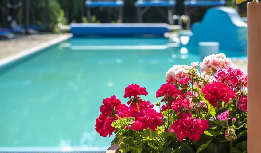 Duna Relax Hotel R�ckeve - Szilveszter 