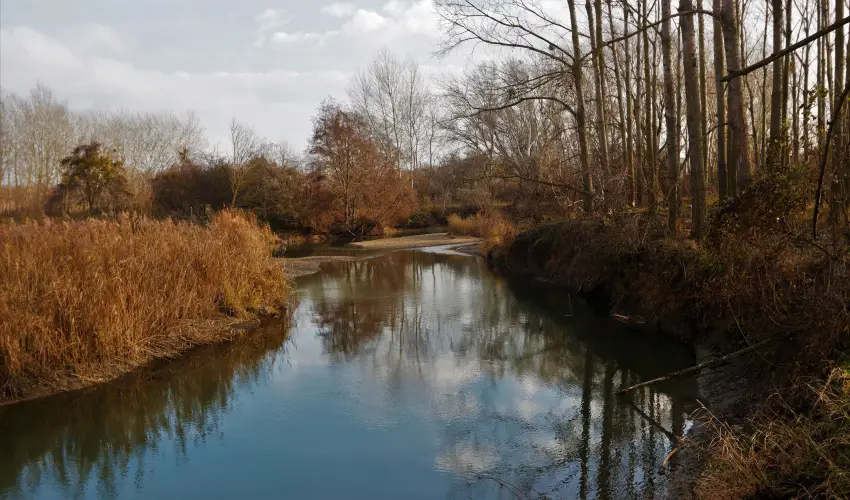 Duna-Beach Apartman Kimle - Szilveszter (min. 2 j)