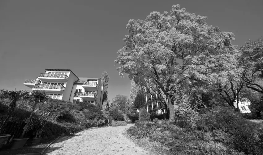 Echo Residence All Suite Hotel Tihany - Szilveszter - teljes el�refizet�ssel (min. 2 �j)