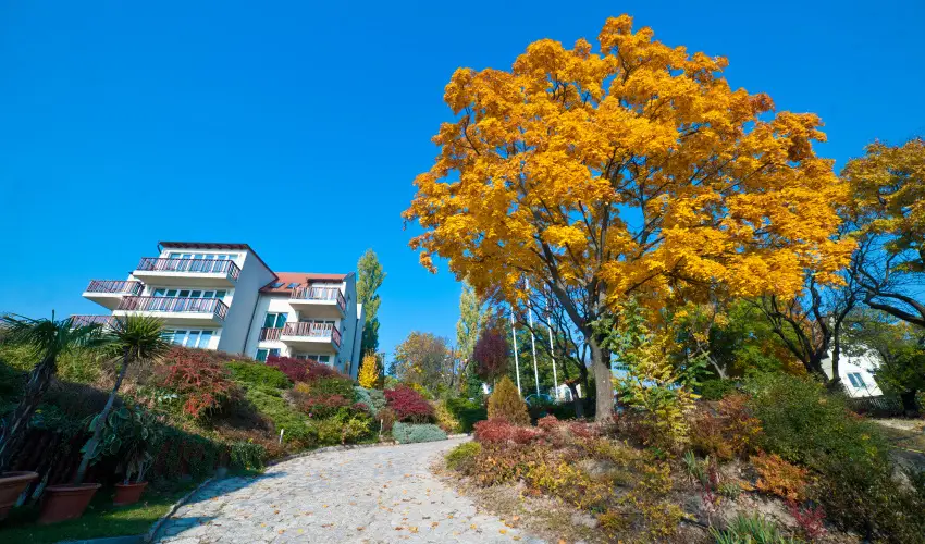 Echo Residence All Suite Hotel Tihany - Szilveszter - teljes elrefizetssel (min. 2 j)