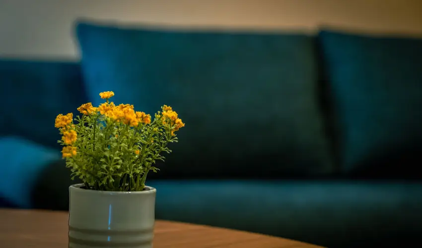 Eleven Business & Sport Hotel Jszrokszlls - Szilveszter