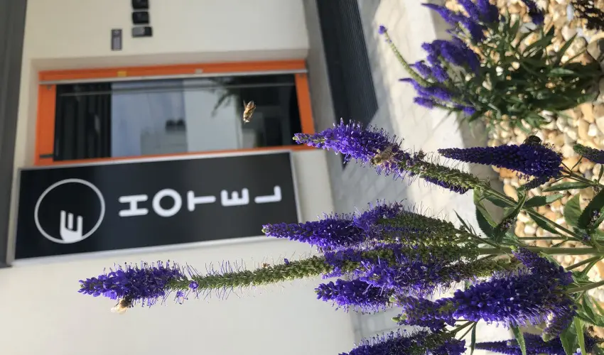 Eleven Business & Sport Hotel Jszrokszlls - Szilveszter