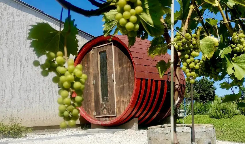 lmny Vendghz Csurg - Szilveszter