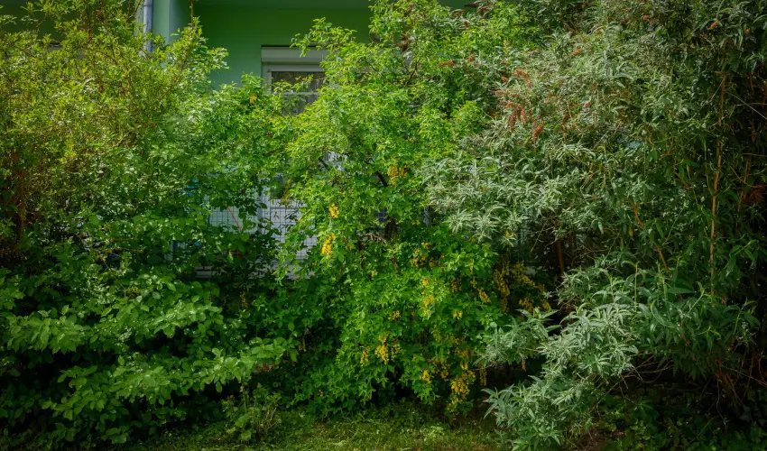 Erika Apartman Srvr - Szilveszter (min. 2 j)