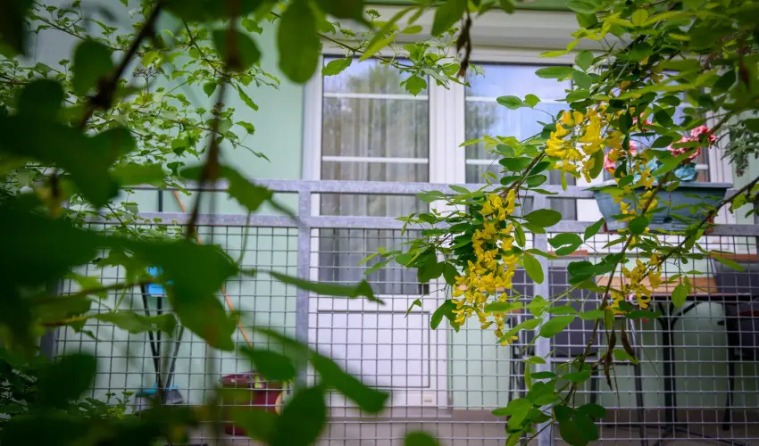 Erika Apartman Srvr - Szilveszter (min. 2 j)