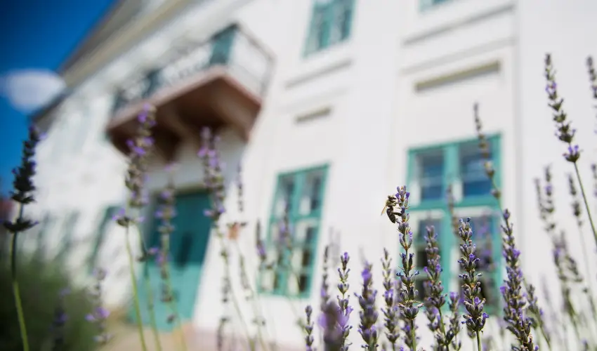 Erzsbet Nagy Szlloda Paks - Szilveszteri csomagajnlat (min. 2 j)