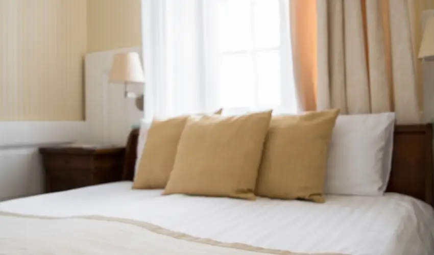 Erzsbet Nagy Szlloda Paks - Szilveszteri csomagajnlat (min. 2 j)