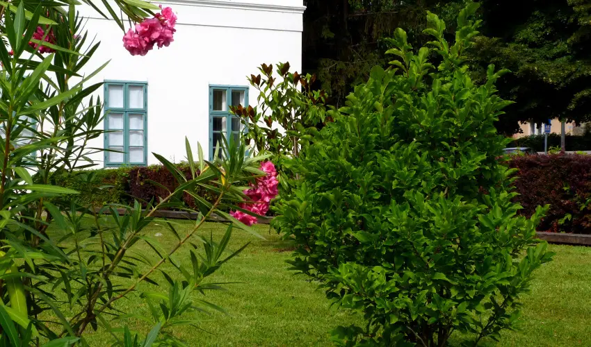 Erzsbet Nagy Szlloda Paks - Szilveszteri csomagajnlat (min. 2 j)