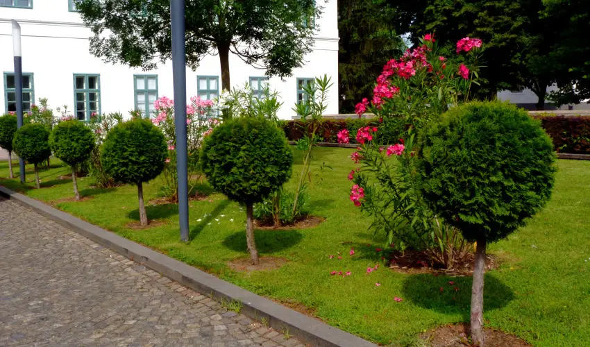 Erzsbet Nagy Szlloda Paks - Szilveszteri csomagajnlat (min. 2 j)