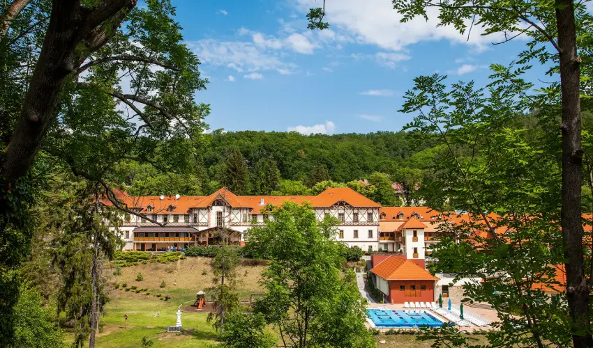 Erzsbet Park Hotel Pardfrd - Szilveszter (min. 3 j)